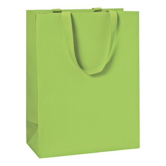 Light green Gift Bag